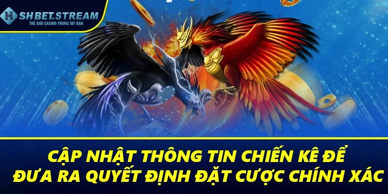 Cập nhật thông tin về chiến kê để đưa ra quyết định đặt cược chính xác hơn