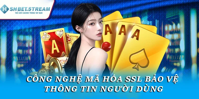 Công nghệ mã hóa SSL bảo vệ thông tin người dùng