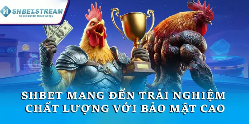 SHBET mang đến trải nghiệm cá cược đá gà chất lượng với bảo mật cao