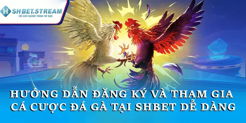 Hướng dẫn đăng ký và tham gia cá cược đá gà tại SHBET dễ dàng