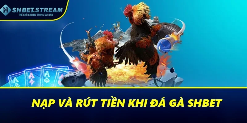 Nạp và rút tiền khi đá gà SHBET