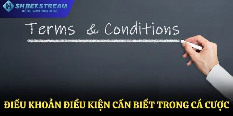 Điều khoản điều kiện cần biết trong cá cược